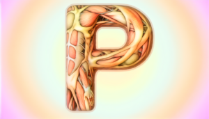 Illustration anatomique du corps humain en forme de lettre P avec textures de peau réalistes et détails complexes. Fond en dégradé doux mettant en valeur la lettre P, éclairage mettant en relief sa forme en 3D. Palette de couleurs chaudes pour une sensation de vie et d'origine organique. Haute résolution et faible profondeur de champ.