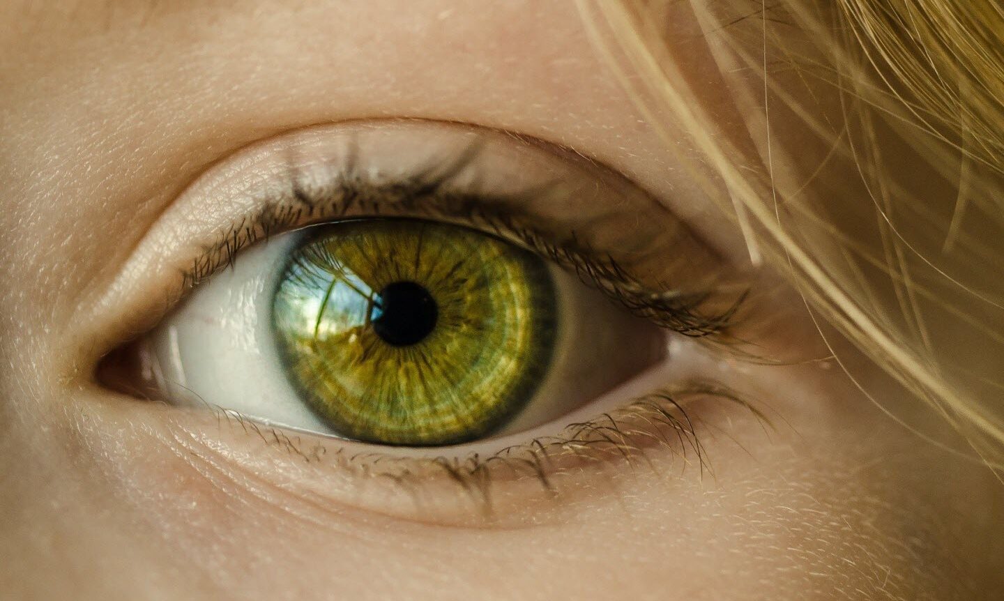 Quelle est la couleur des yeux la plus rare au monde ?