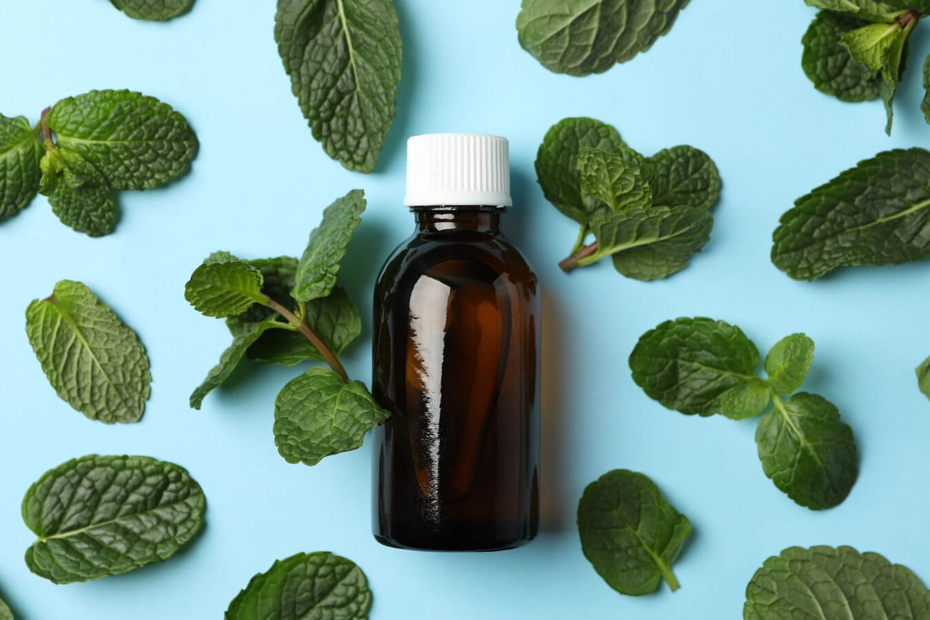 Remèdes à base de plantes pour les douleurs musculaires
