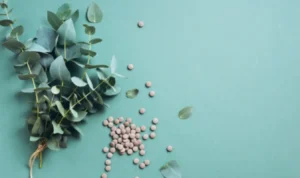 Trouver un naturopathe à Toulon : comment choisir le bon praticien ?