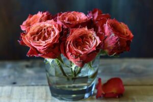 Pourquoi les roses éternelle reste belle ?