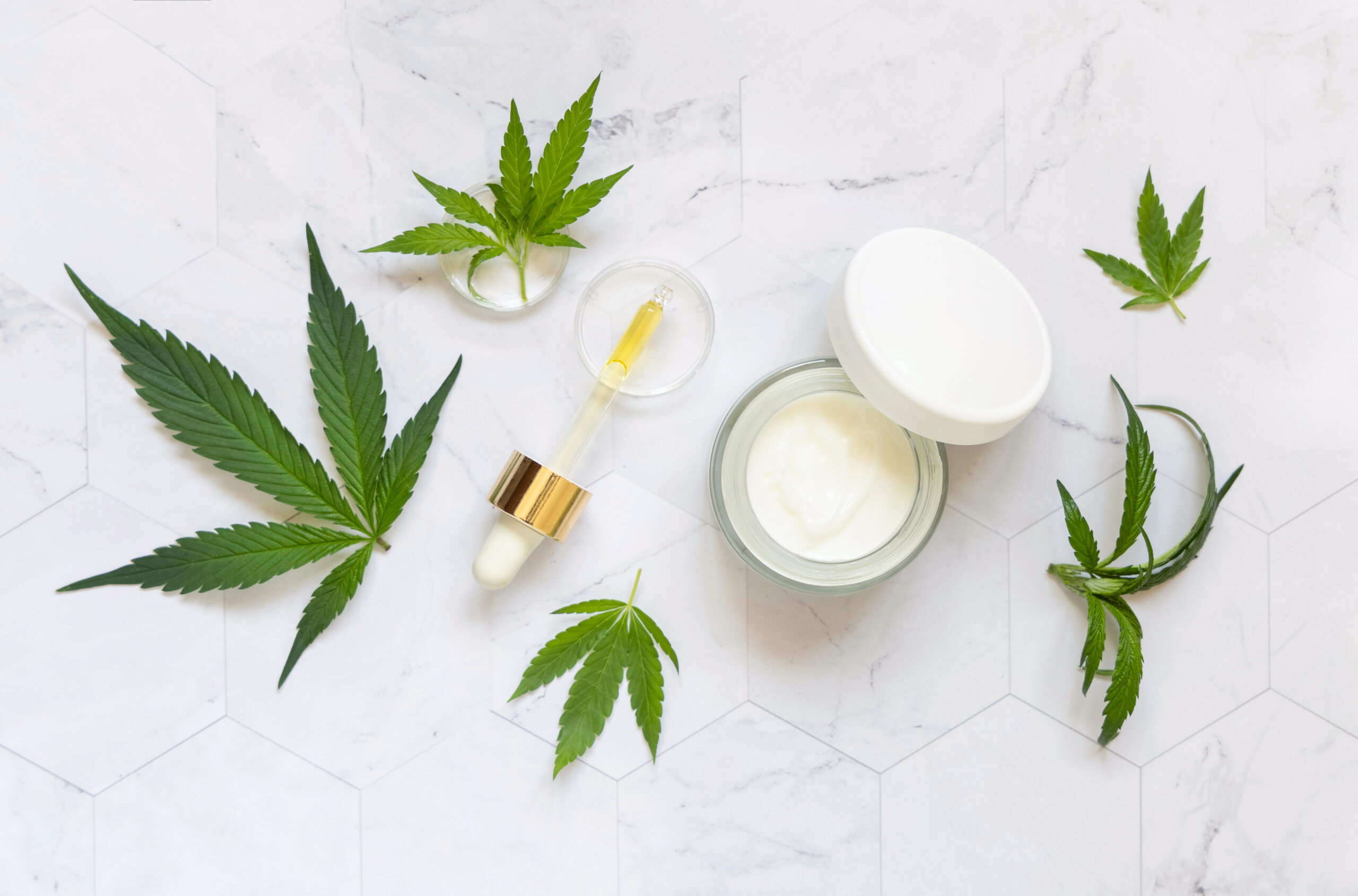 Pipette with oil and opened cream jar near green cannabis leaves