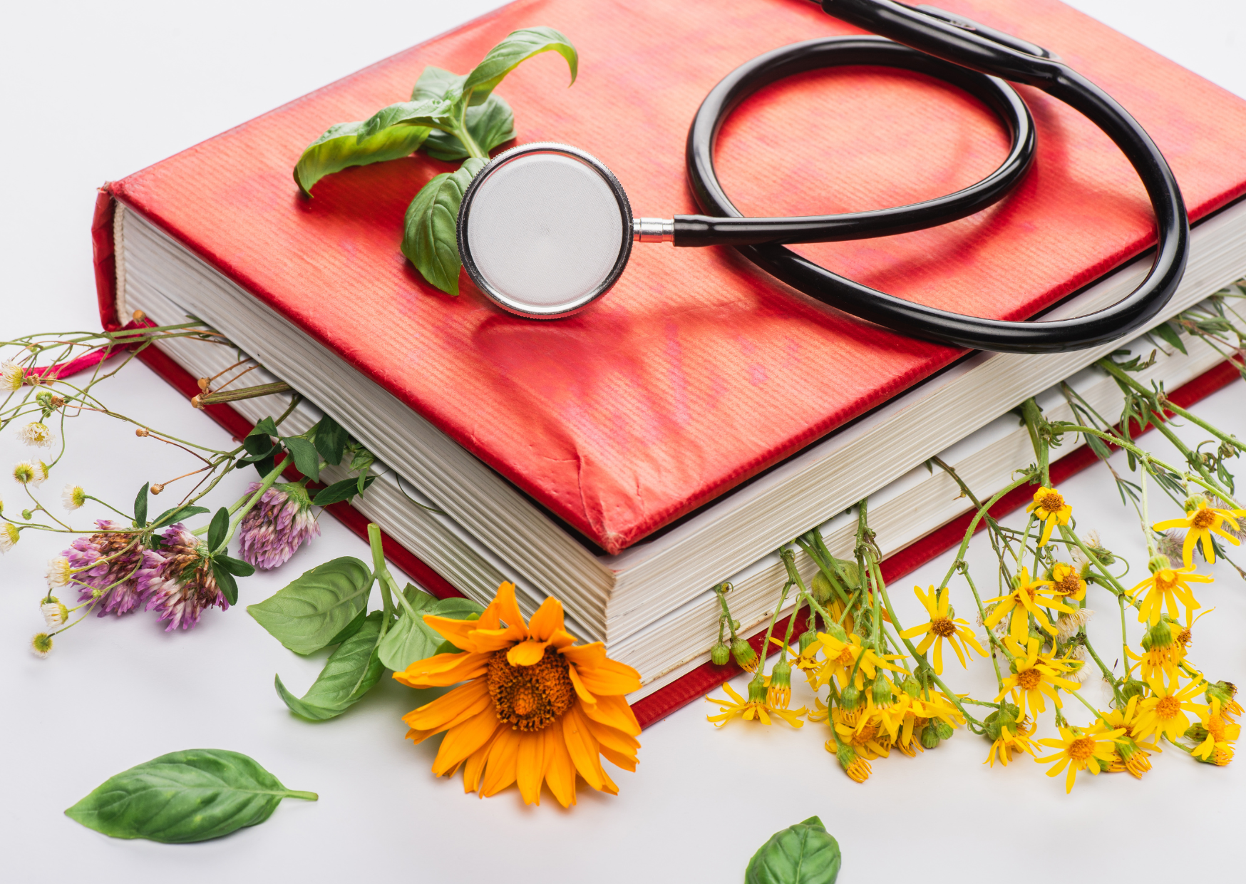 formation naturopathie
