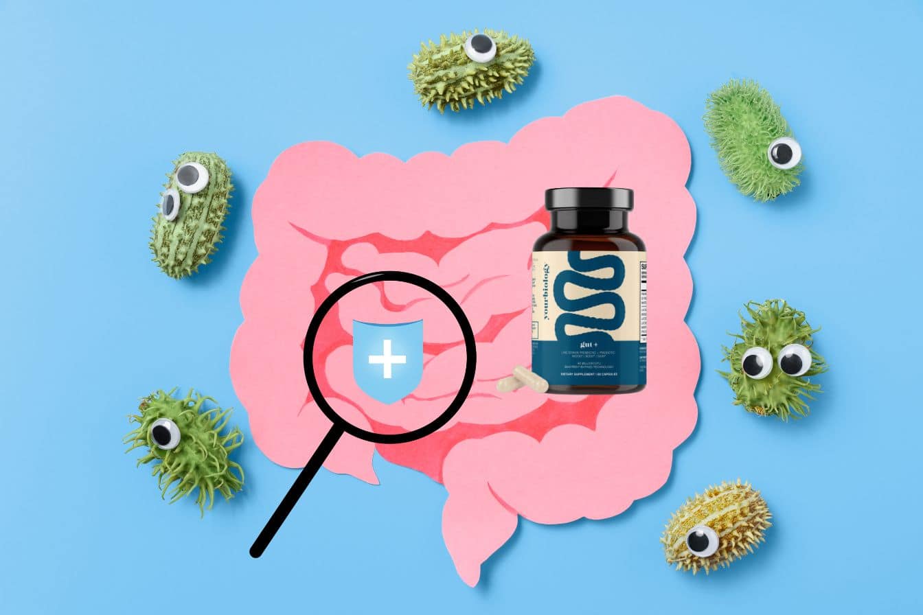 YourBiology Gut avis et efficacité