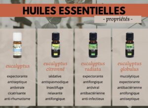 Quelle Huile Essentiellle Choisir contre les Douleurs Fortes?