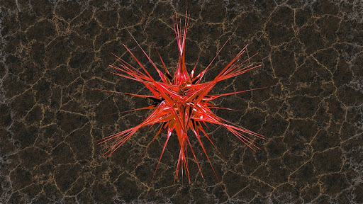 unnamed (66)